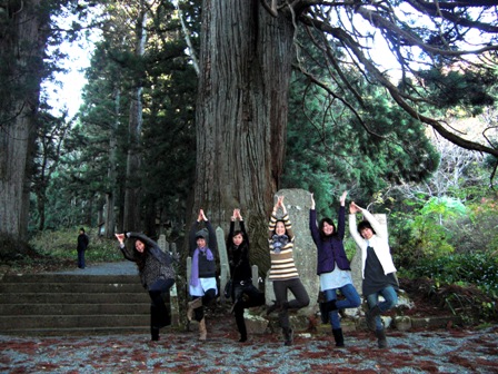 bihoku_sugi.JPG