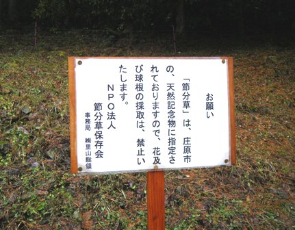 bihoku4.jpg