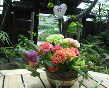 カーネーション
