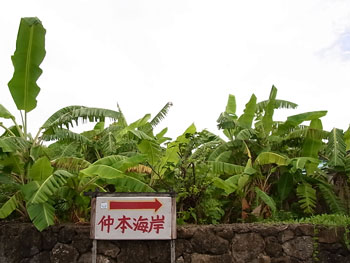 黒島