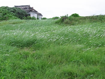 西表