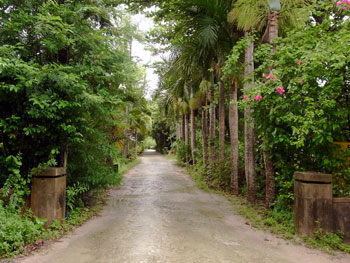 由布島