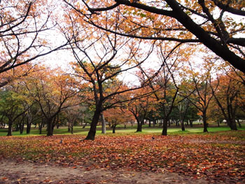 浜寺公園