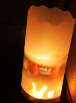たねのたね