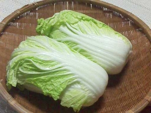 ÇòºÚ