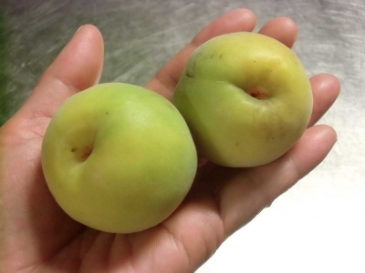 Â礤ÊÇß