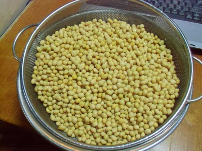 ÂçÆ¦