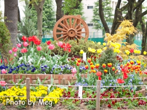 第3公園