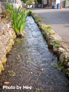 湧き水