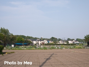 田園