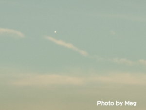 UFO1