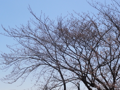 DSC00842.JPG