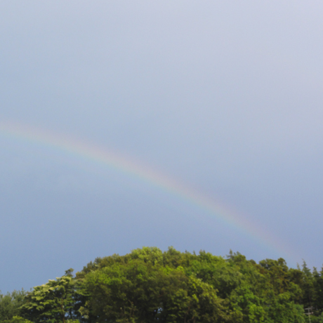 rainbow.jpg