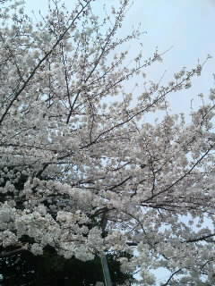 130323_1008~01.jpg