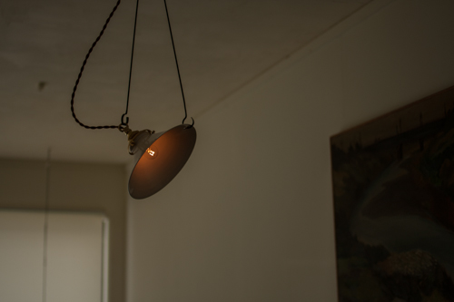 猿山様専用 www.sanagustin.ac.id