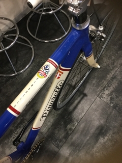 LUNGAVITA | 宇都宮のツナカワサイクルです