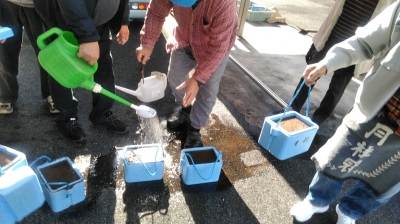水やり