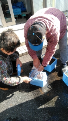 密封する
