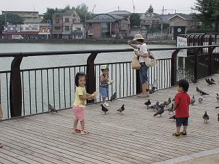 餌やり