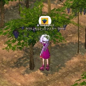 とりあえずもいでみる