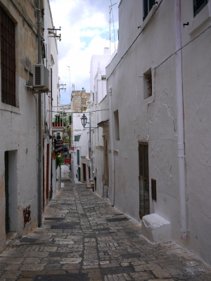 P1040006.JPG