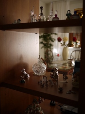P1040069.JPG