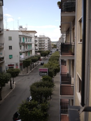 P1040084.JPG