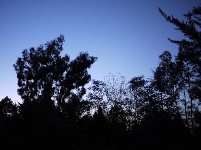 P1040132.JPG