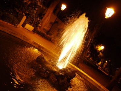 P1040137.JPG