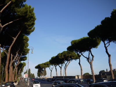 P1040515.JPG