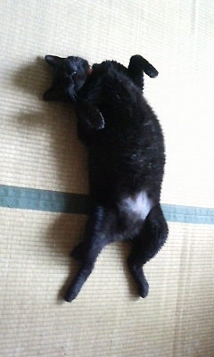 おっさん