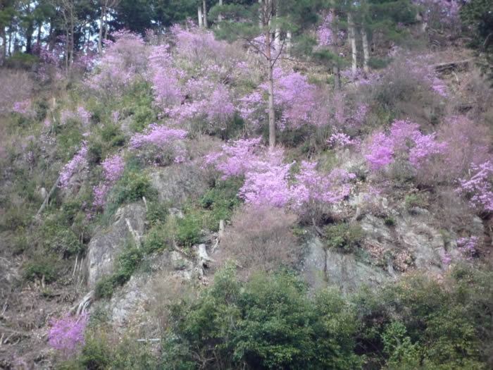 ときがわ町