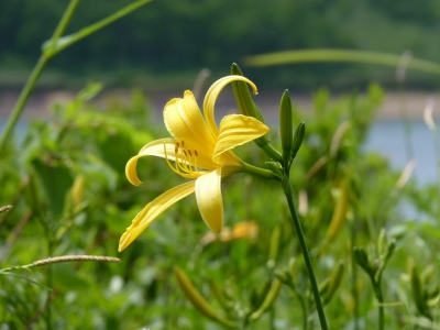 野反湖