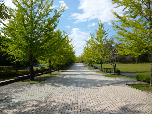 秩父ミューズパーク