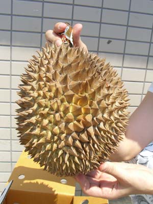 ドリアン