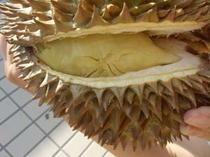 ドリアン