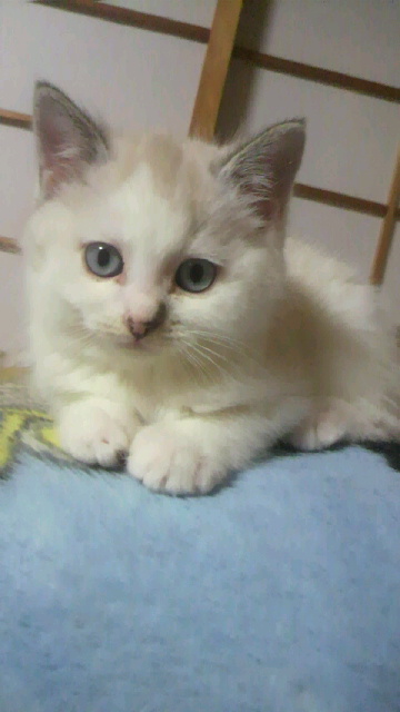 2015120510300000.jpg