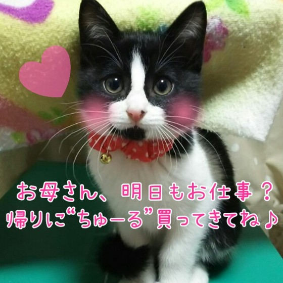 てまりちゃん.jpg