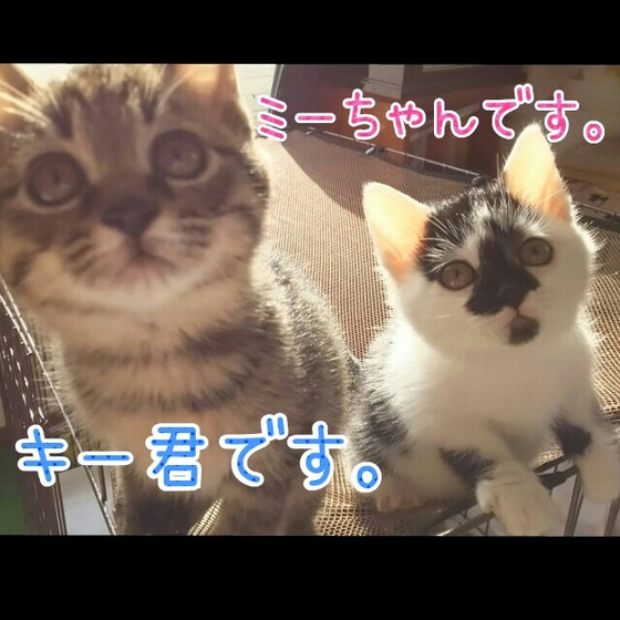 ミーとキー.jpg