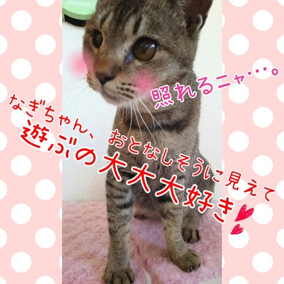 なぎちゃん.jpg