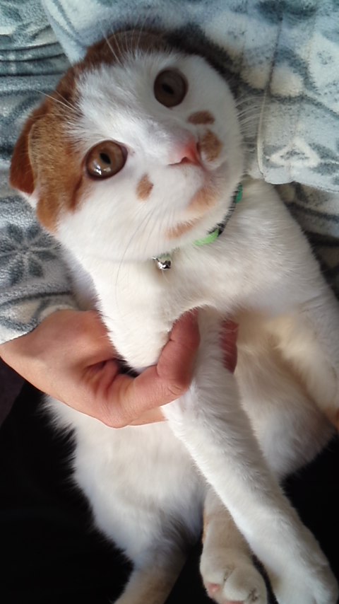 mini_160113_07490003.jpg