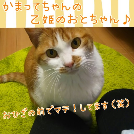 おとちゃん.jpg