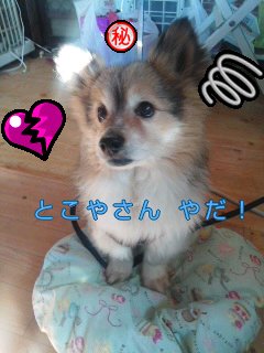 160227_1016~01.jpg