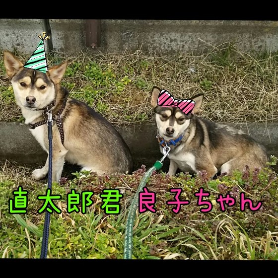 森山親子.jpg