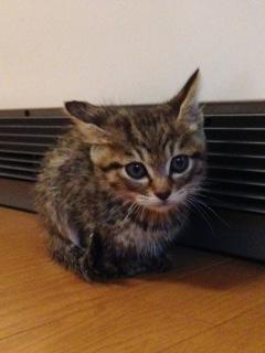 image1_20171009093906.JPG