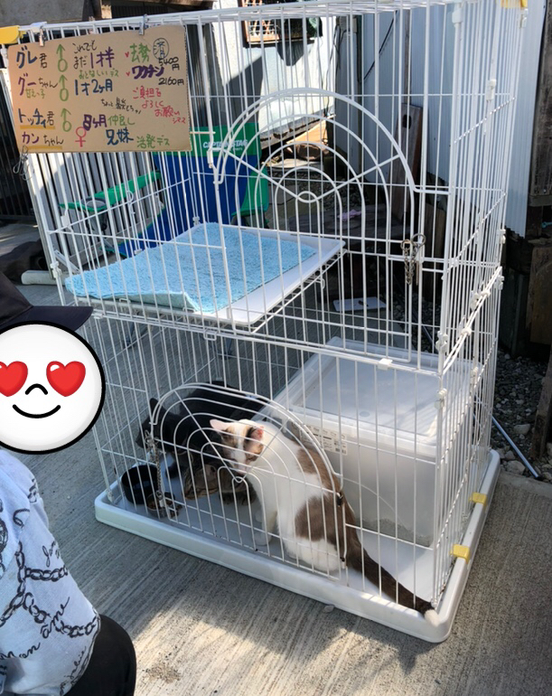 20191020_1723103.jpg