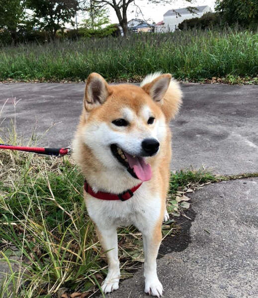 20191021_1723888.jpg