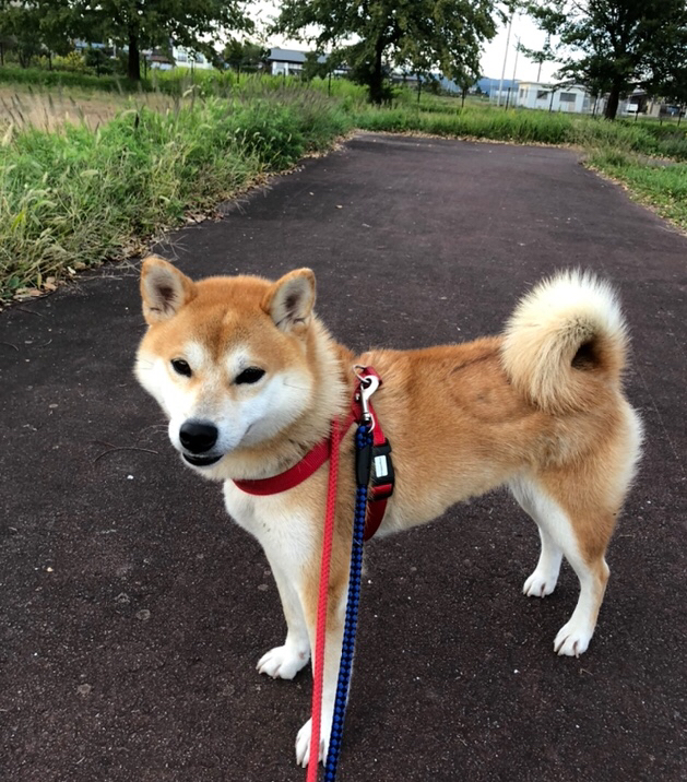 20191021_1723890.jpg