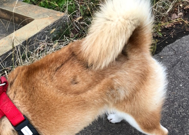 20191021_1723913.jpg