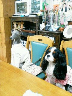 rps20120427_011206_786.jpg